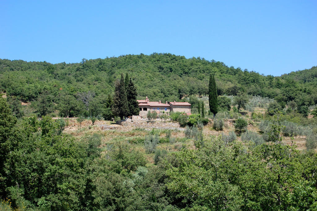 Allegro Agriturismo Argiano Arezzo Eksteriør bilde